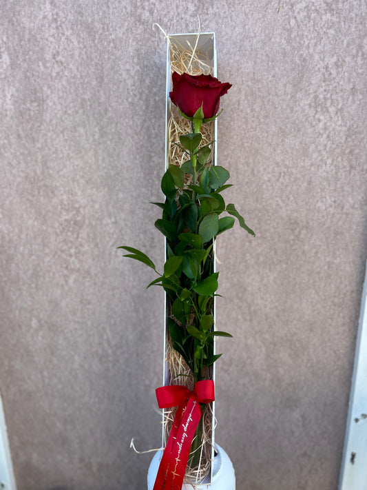 Single Rose